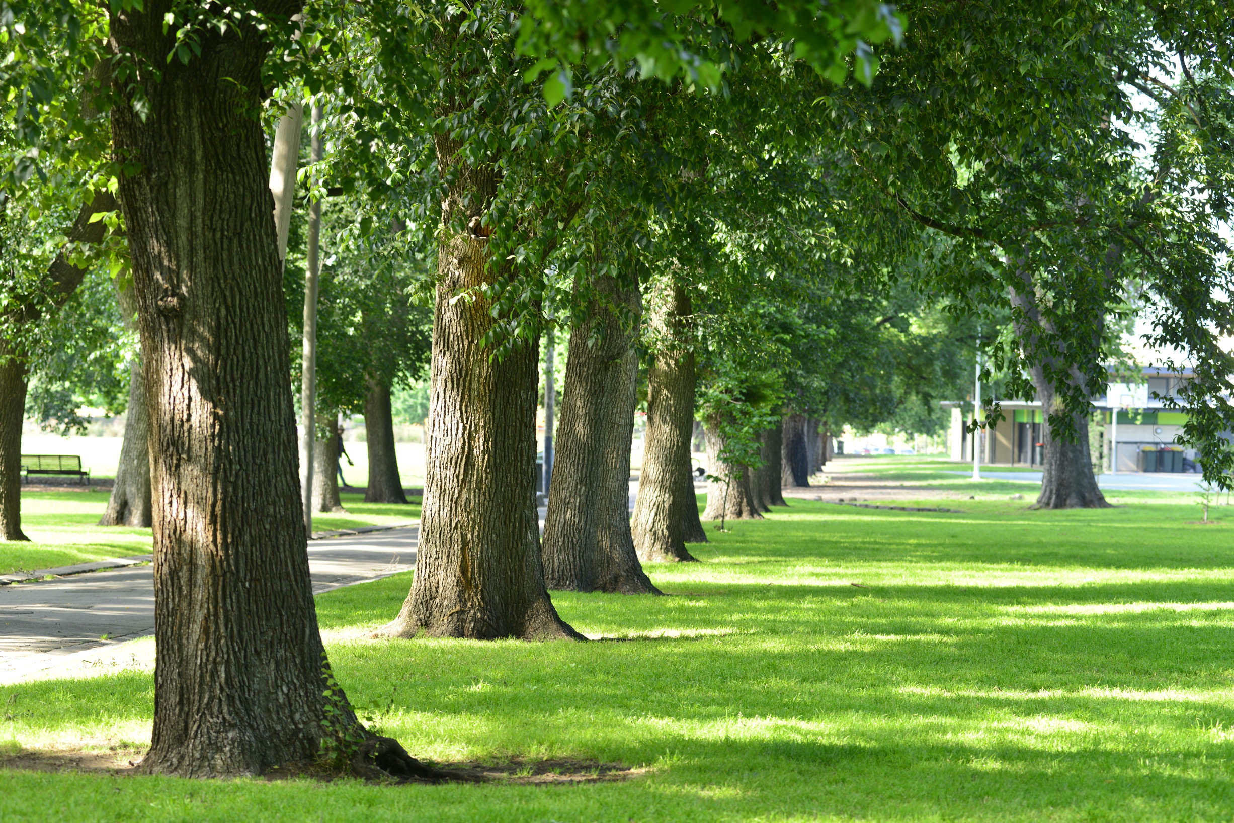 Edinburgh Gardens