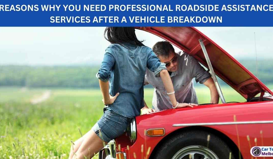 REASONS WHY YOU NEED PROFESSIONAL ROADSIDE ASSISTANCE SERVICES AFTER A VEHICLE BREAKDOWN